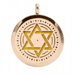 Stainless Steel Jewelry Aromatherapy Oil Diffuser Pendants AP056